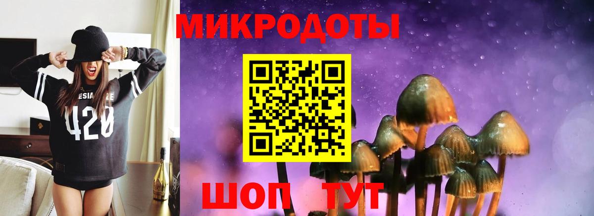 Людиново  Галлюциногенные грибы Psilocybe  Вход с VPN 